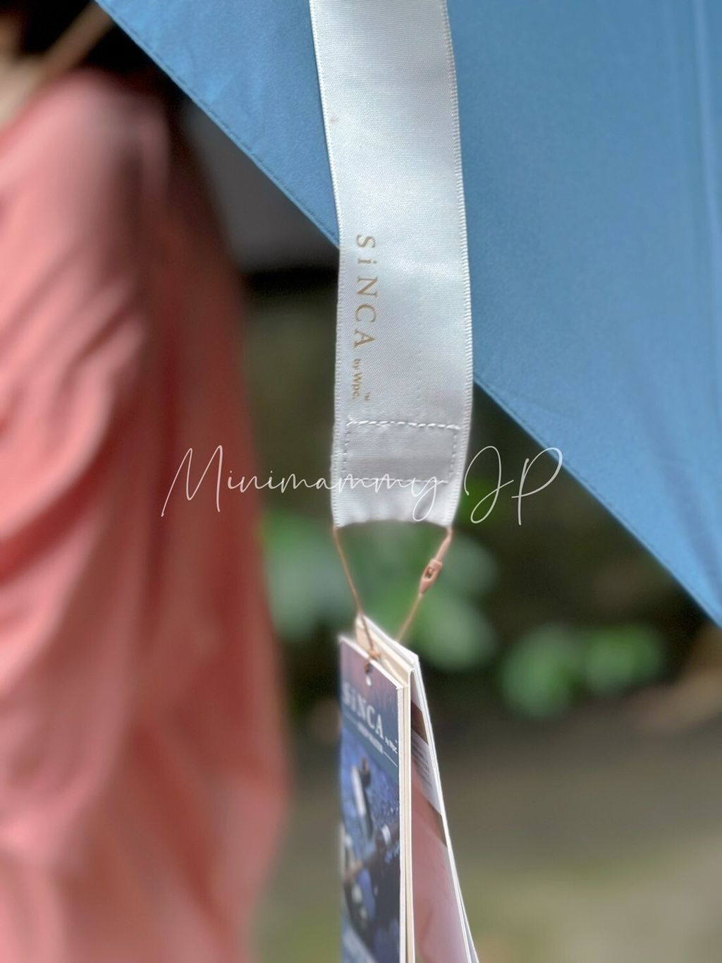 LINE_ALBUM_20241031_241031_52