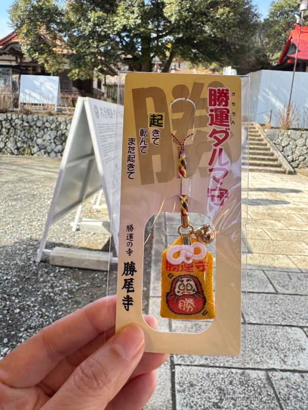 #現貨【勝尾寺】勝運祈願 開運達摩守-