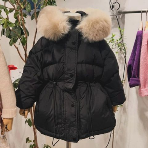 1763434783_2238881691