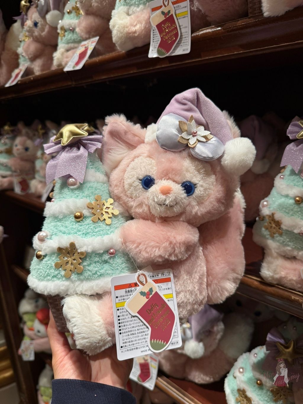 image_1C6A3A22-3972-40AE-A508-D3FC8D8D3777_1766502129