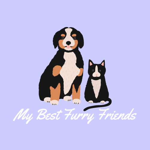 My Best Furry Friends