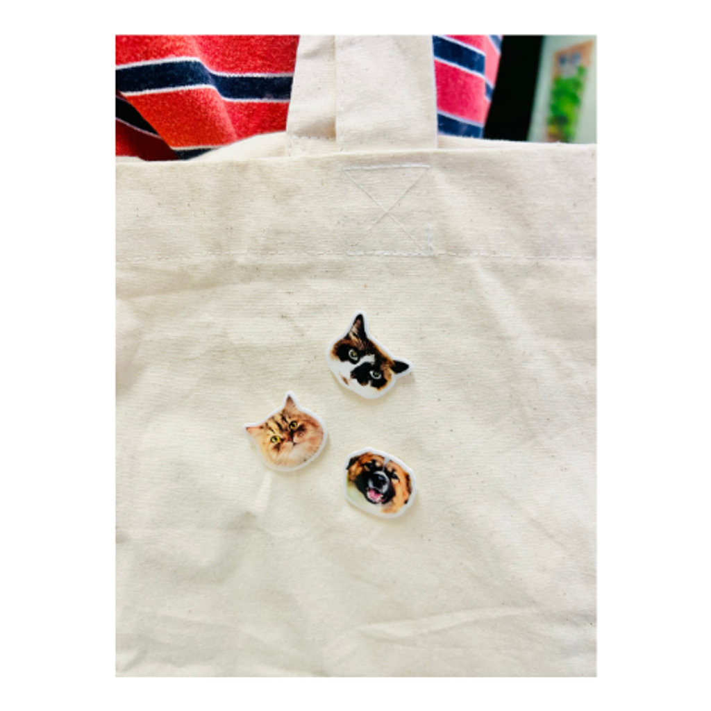 Pins on Tote