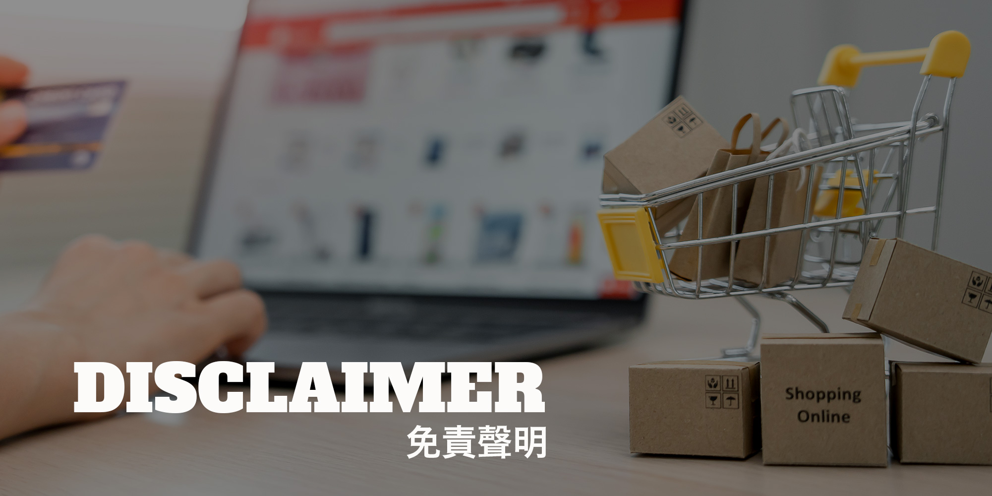 DisclaimerTopBanner