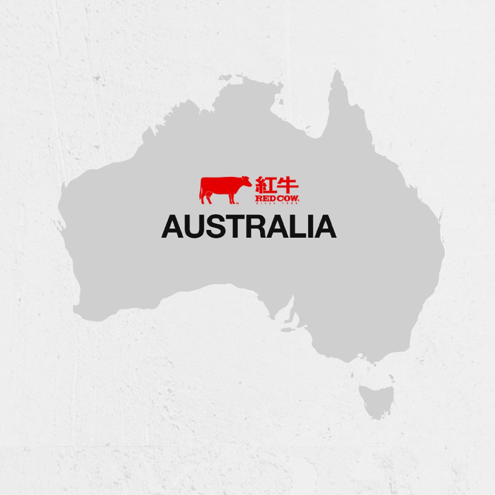 紅牛聰勁能量飲 詳細說明圖04