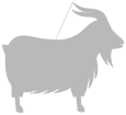 cashmere
