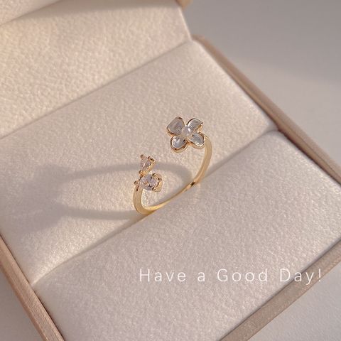 2479810395d733e91338a869b6c6dfbf