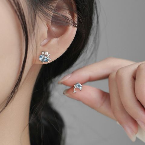 tw-11134207-7r992-lwze4rq9wbhic6