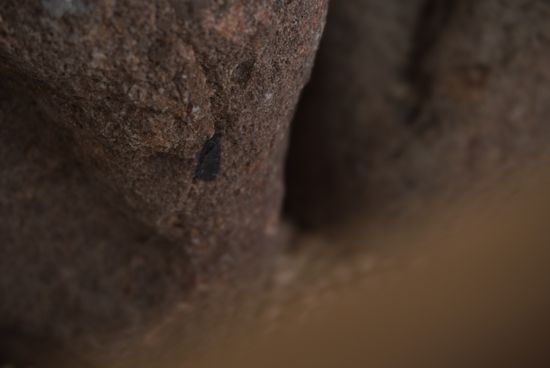 2026 coffee update | Neighboring Kaffa