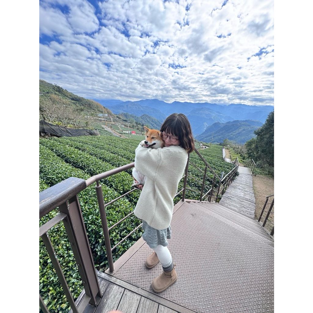 tw-11134207-7ras9-m4rgicryxte3ee