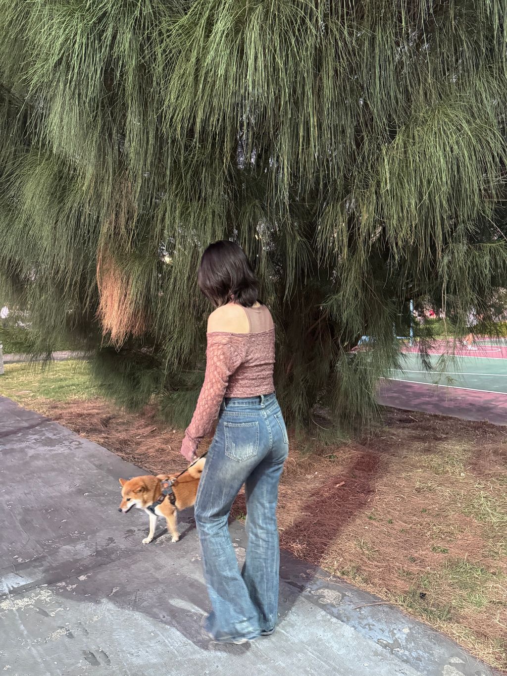 image_BCC6B3E0-3A99-4A1E-B794-A635D41E62D6_1760170712