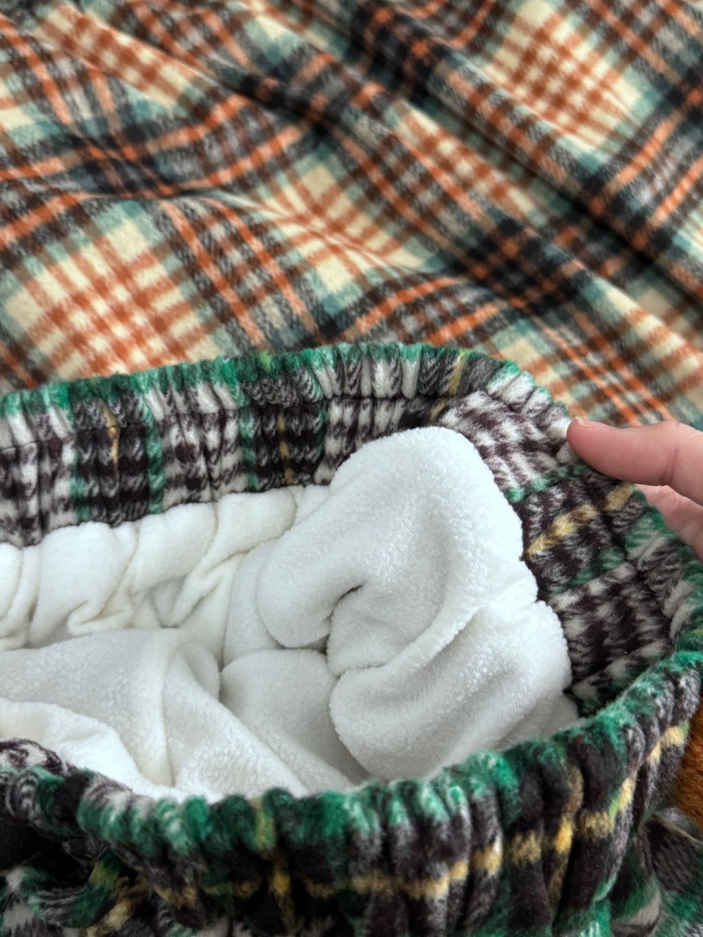 image_FC2F4075-C302-4387-B3CE-2A4276E49E85_1768203312