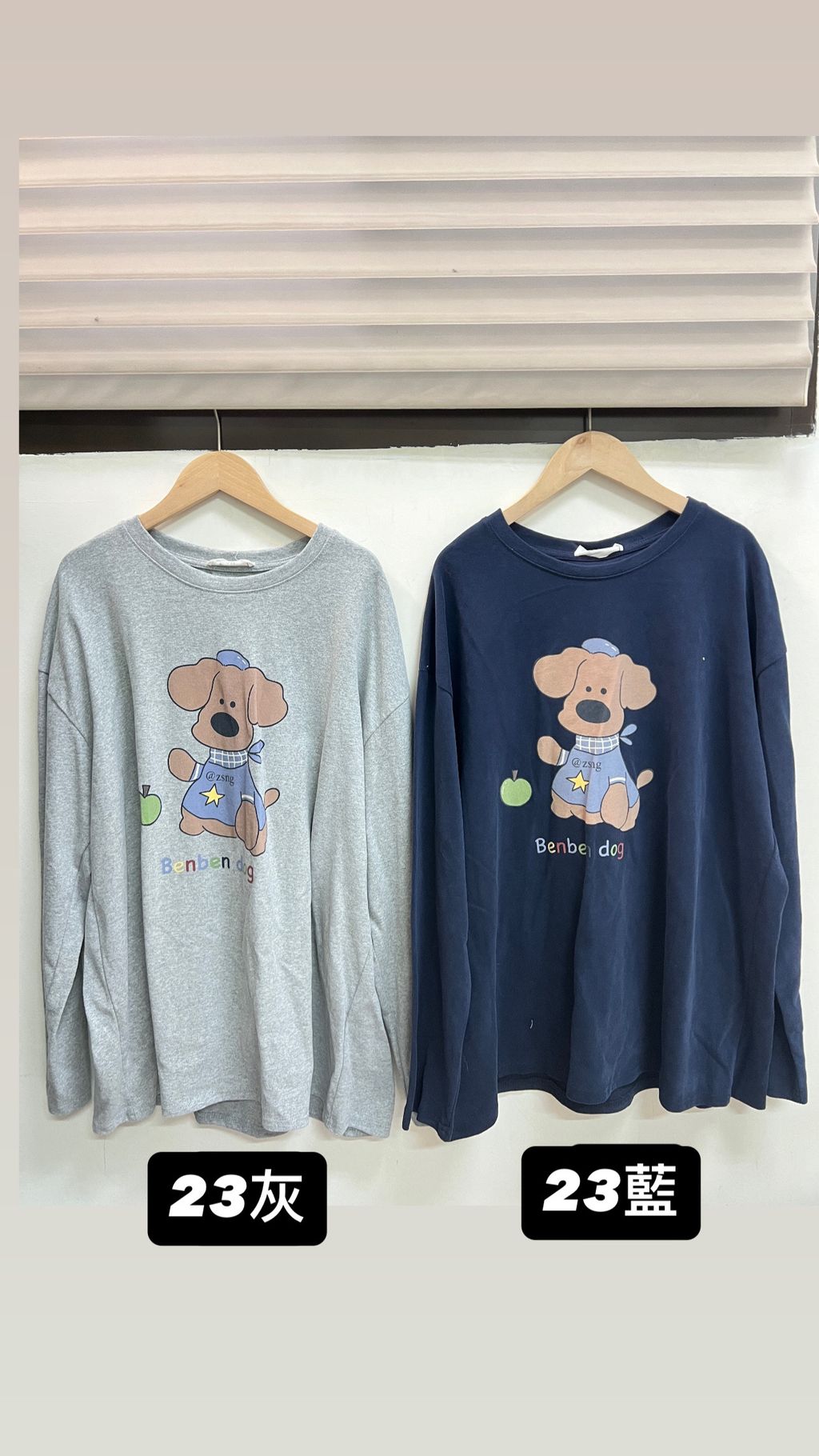 image_D4065396-E21C-4600-832D-27D7D247EF3F_1769660301