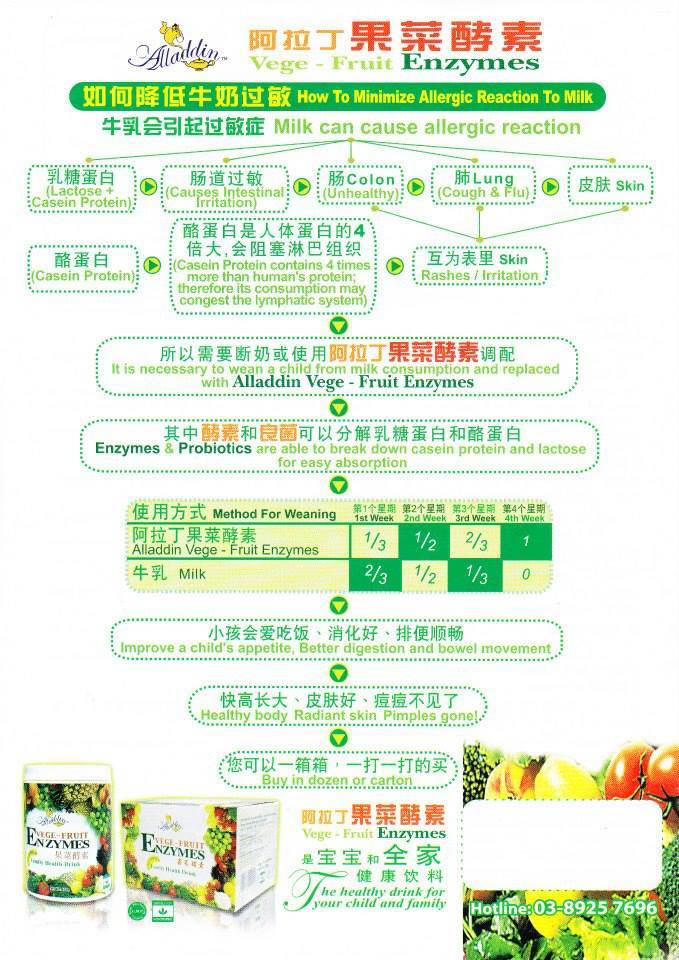 Alladdin Vege-fruit Enzymes – 台北参茸药行有限公司 KEDAI UBAT TAI 