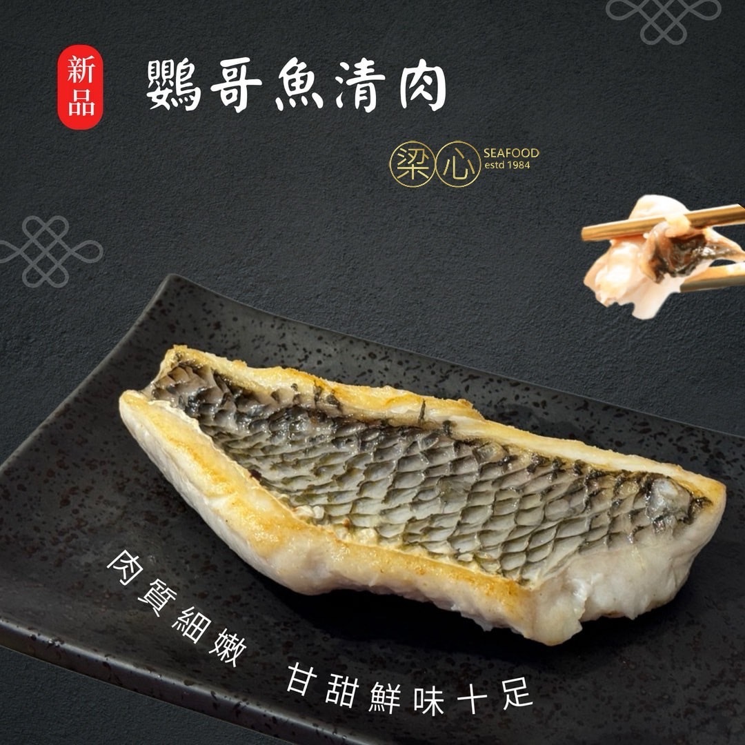 IMG_8146-1708052939043