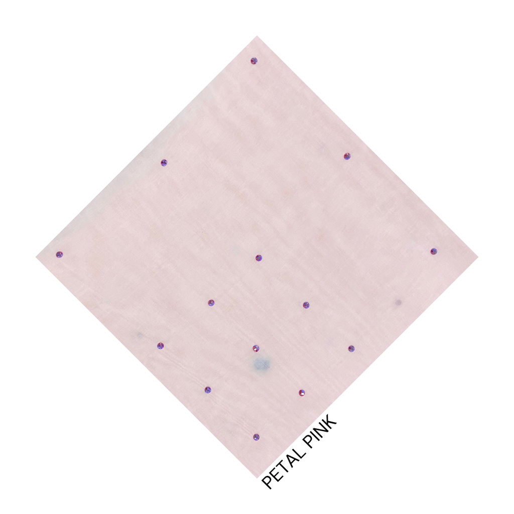 WEBSITE 2