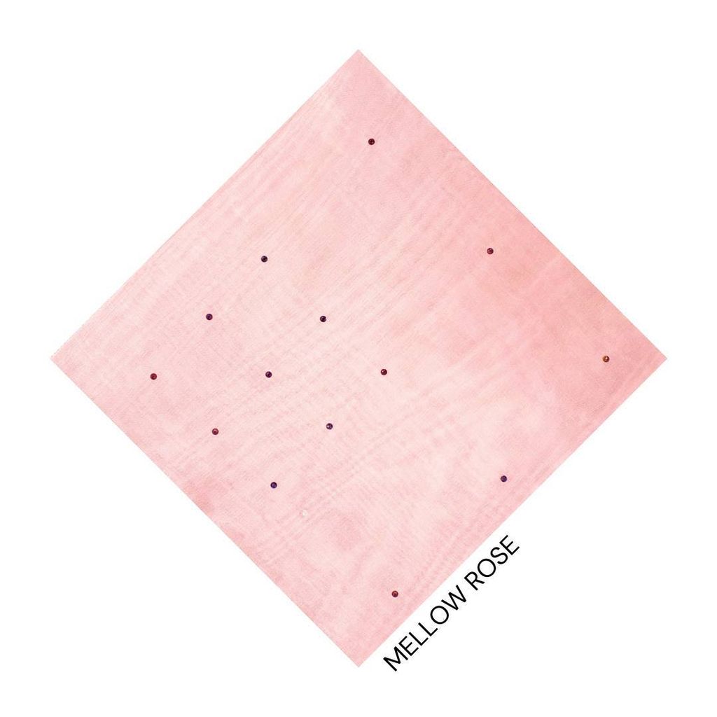 photo_8_2026-01-23_10-49-19