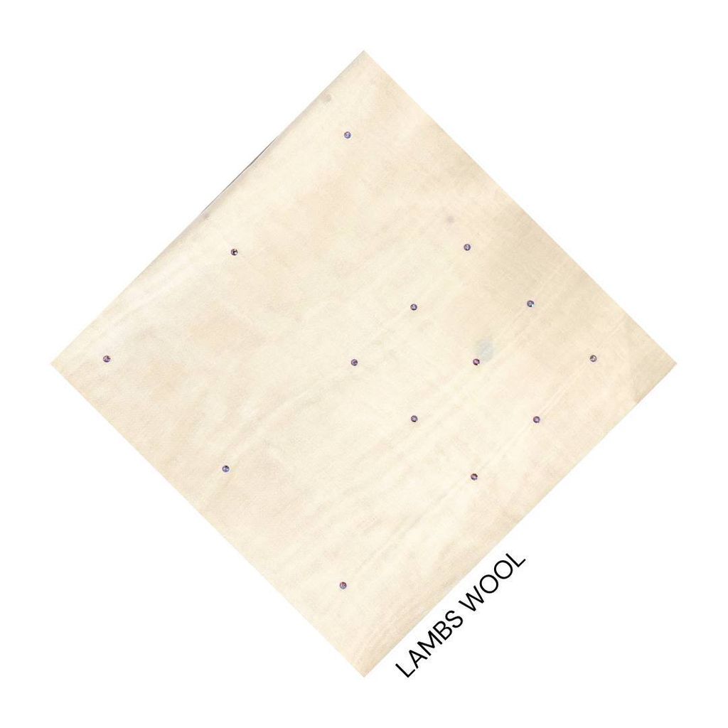 photo_2_2026-01-23_10-49-19