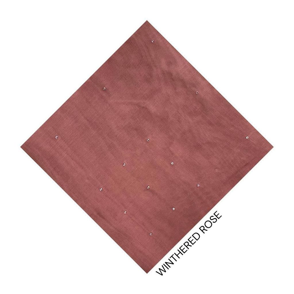 photo_4_2026-01-23_10-49-08