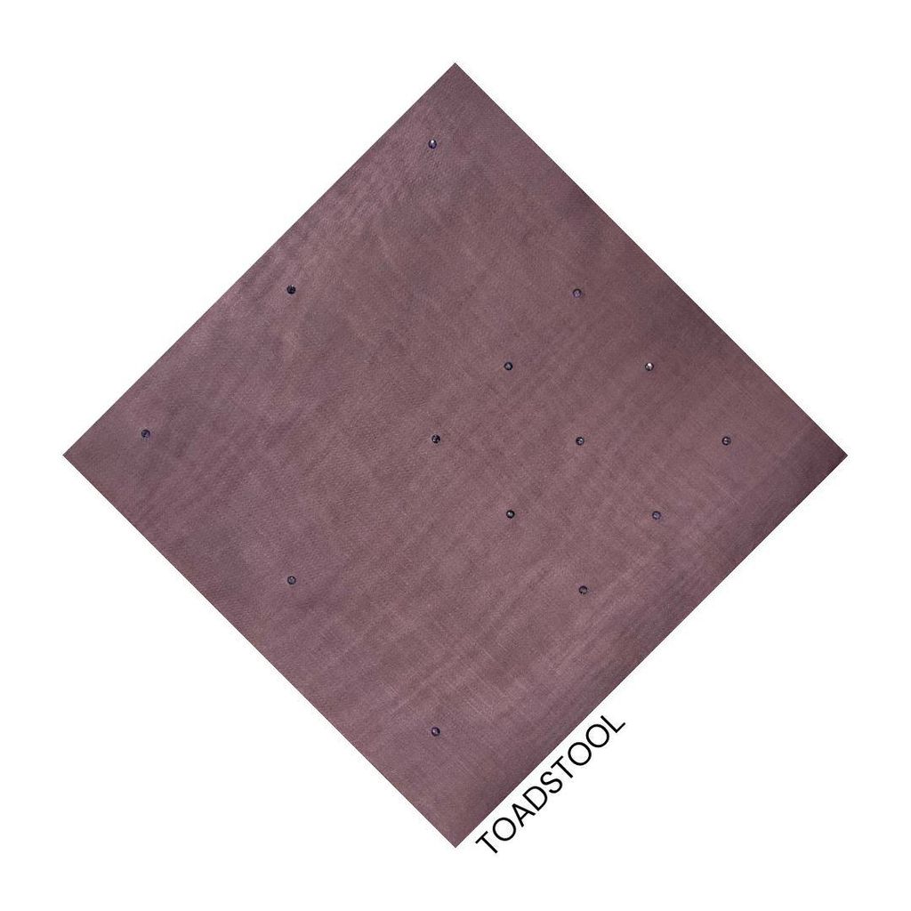 photo_2_2026-01-23_10-49-08