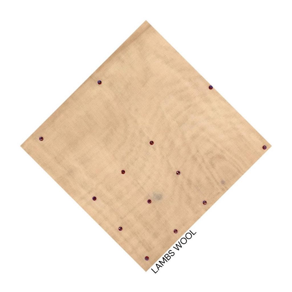 photo_19_2026-02-01_13-45-10