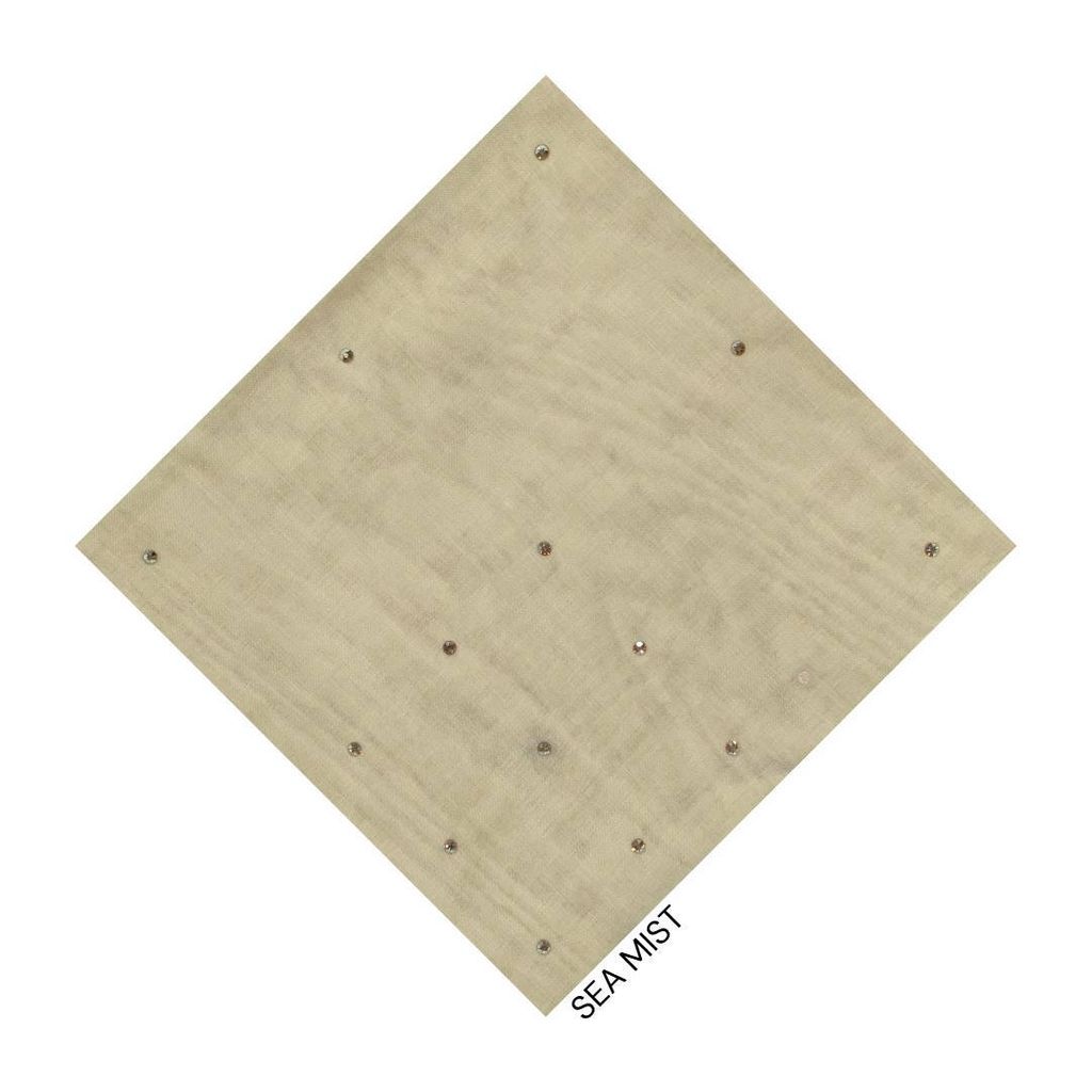 photo_15_2026-02-01_13-45-10