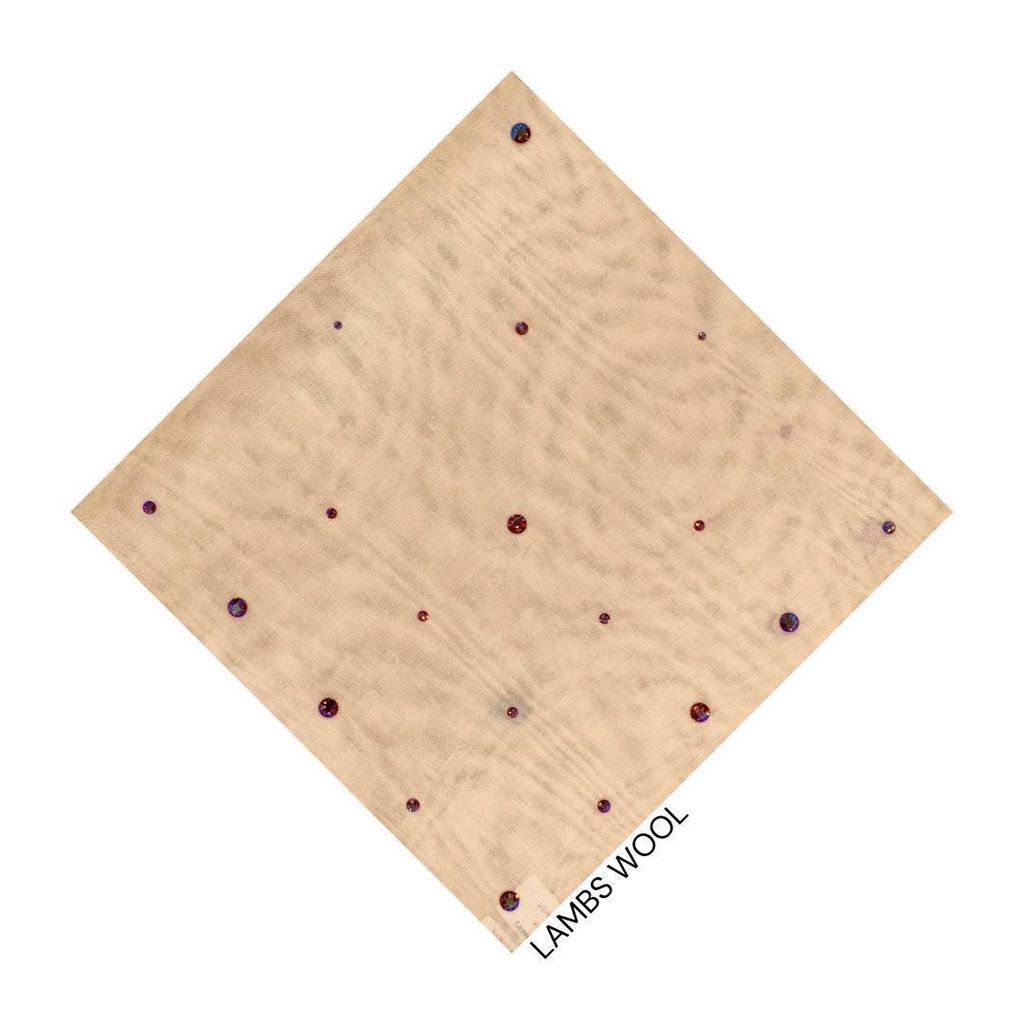 photo_20_2026-02-01_14-10-03