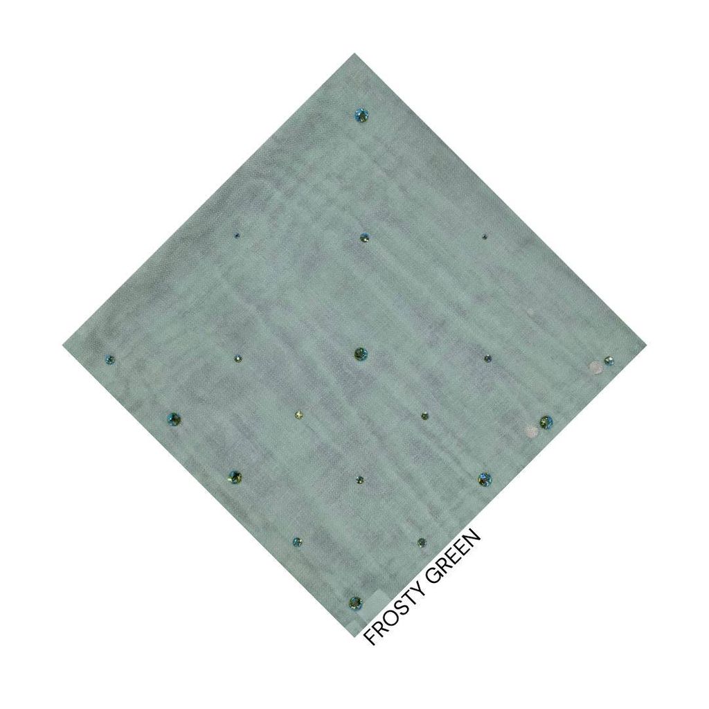 photo_3_2026-02-01_14-10-03