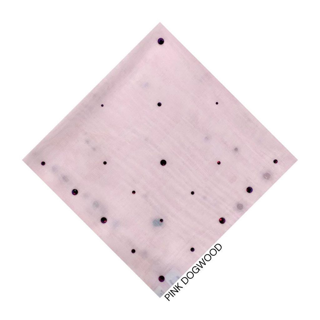 photo_10_2026-02-01_14-10-03