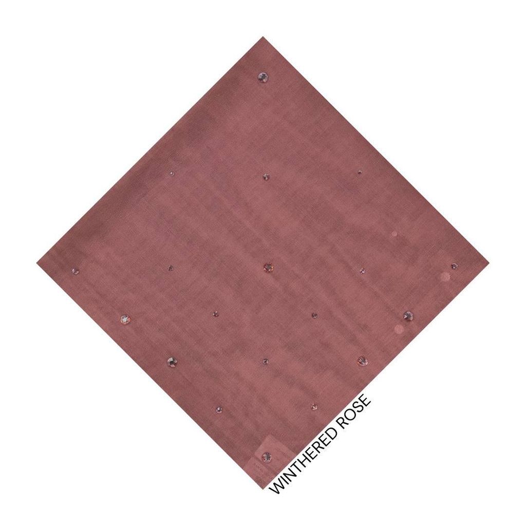 photo_12_2026-02-01_14-10-03