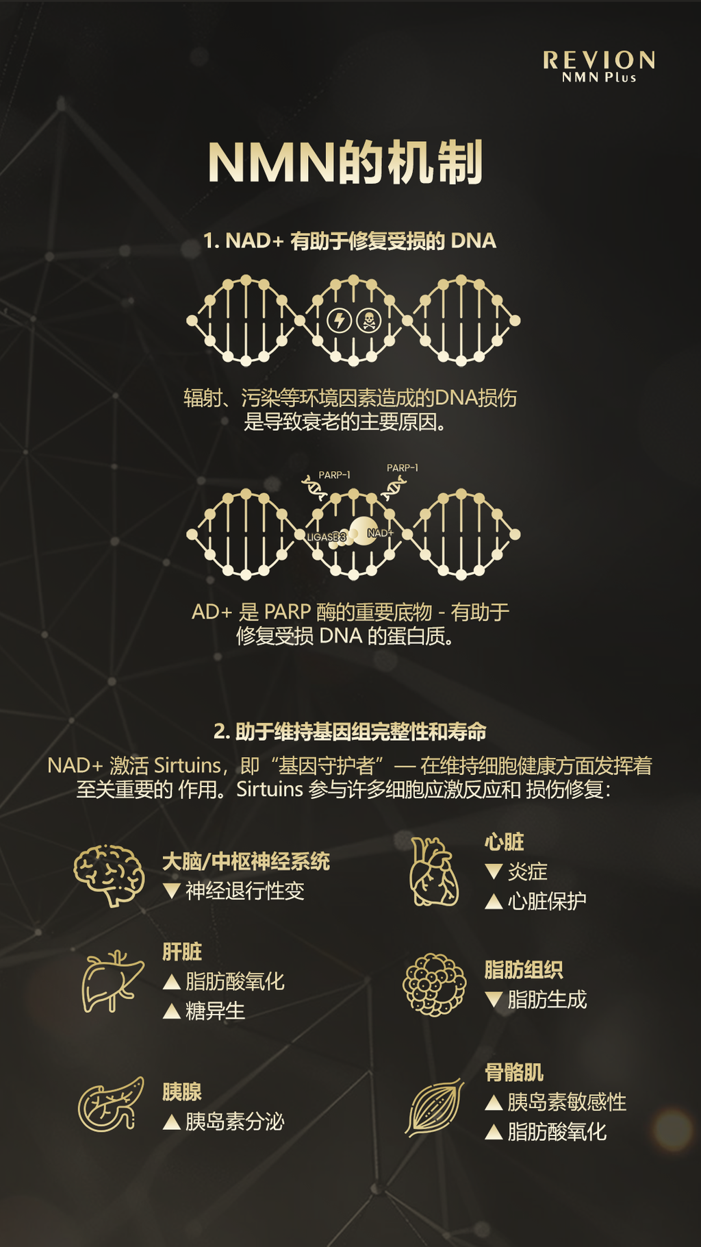image_D4B0D33E-32A1-4A96-B52C-212BB8C47852_1754158782