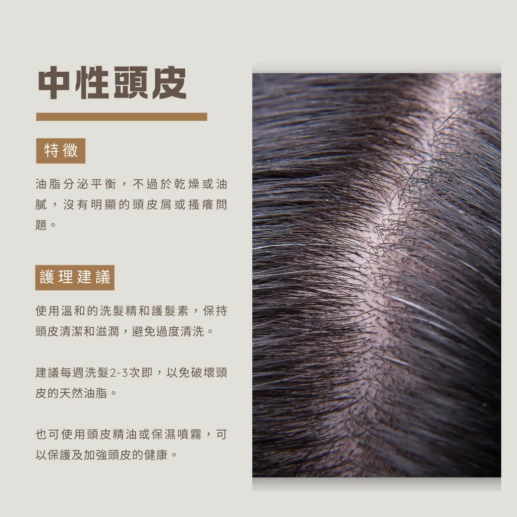 中性頭皮