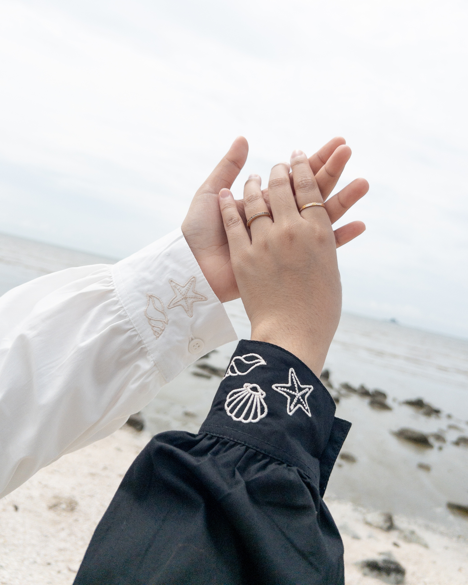 APC_4869-1732932853468