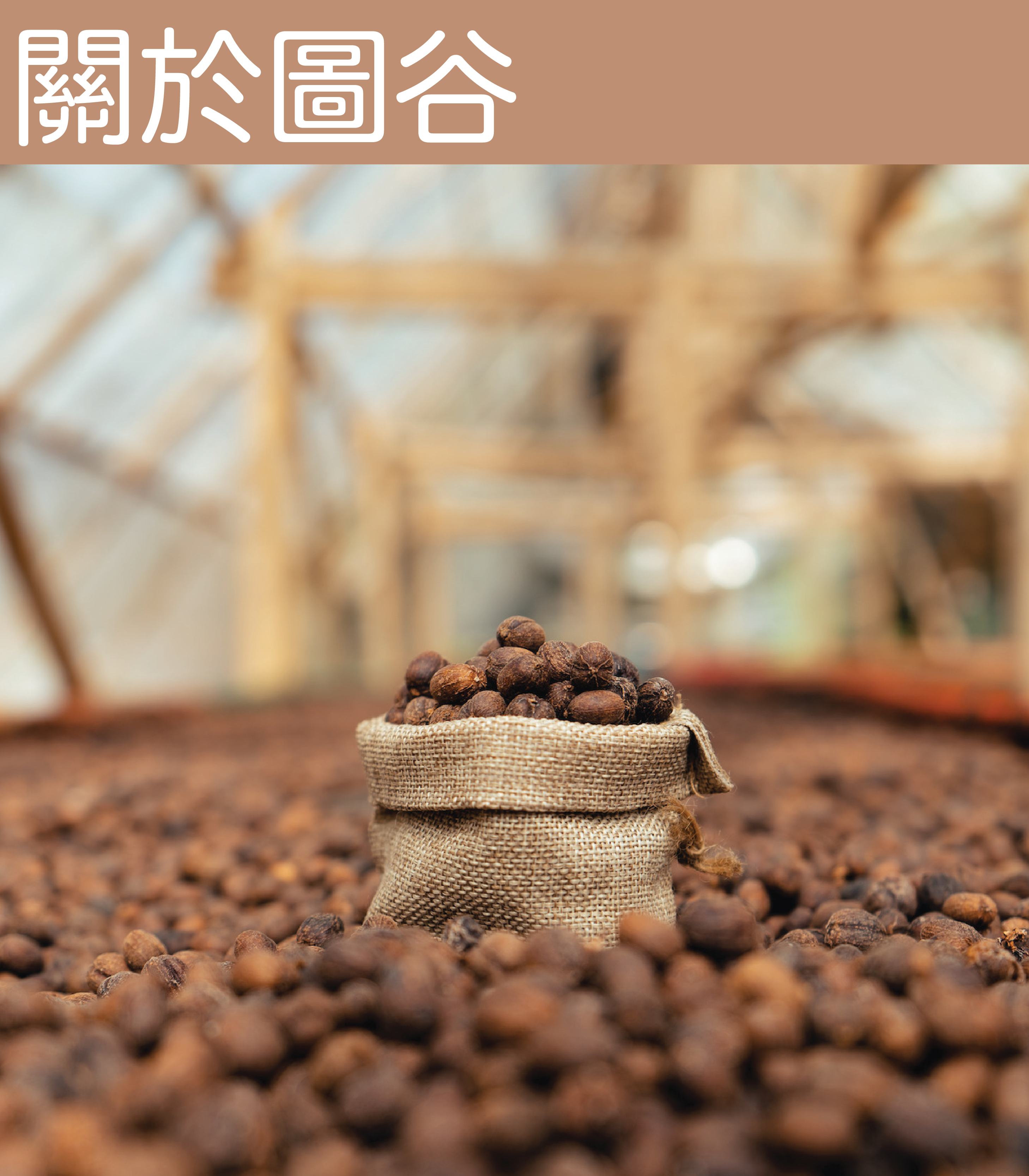  | 圖谷咖啡烘焙坊 Too Good Coffee & Roastery