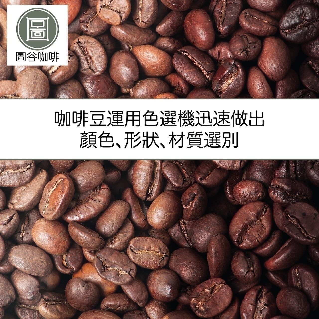 5.百萬級色選機