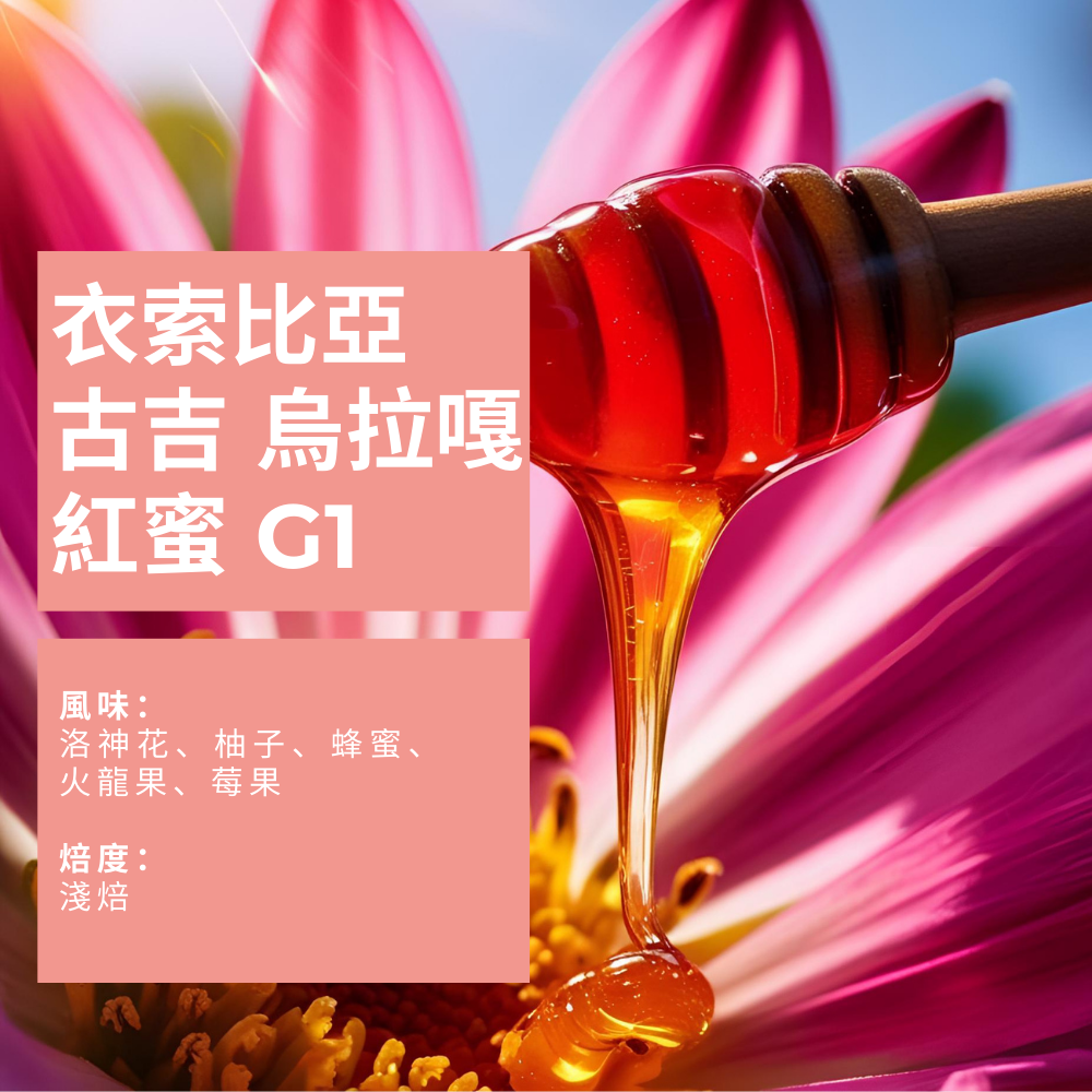 衣索比亞 古吉 烏拉嘎 紅蜜 G1