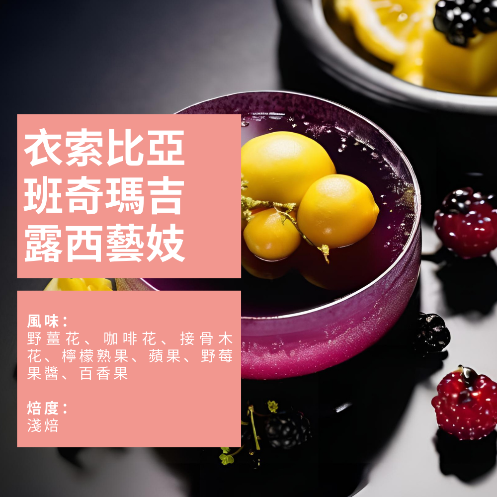 衣索比亞 班奇瑪吉 露西 藝妓 2