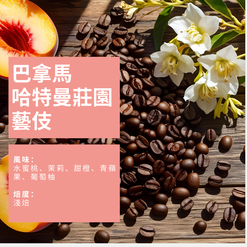 巴拿馬 哈特曼莊園 藝伎