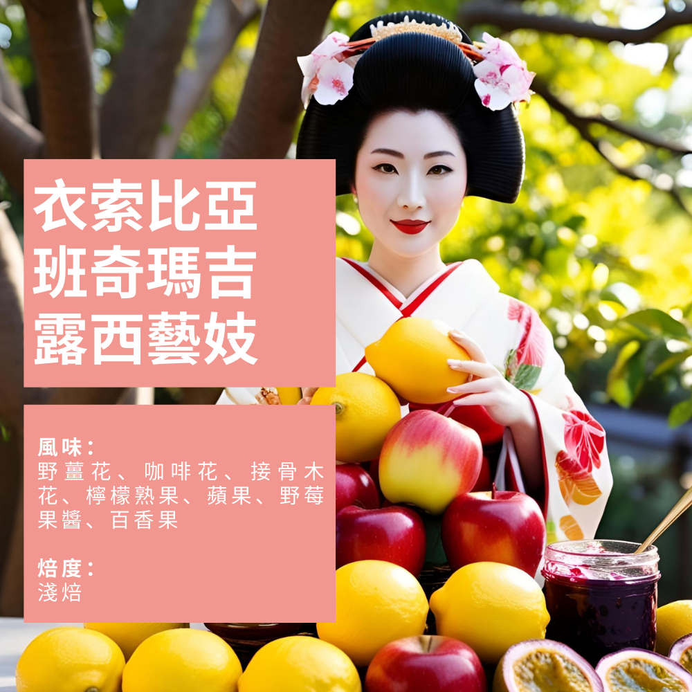 衣索比亞 班奇瑪吉 露西 藝妓 