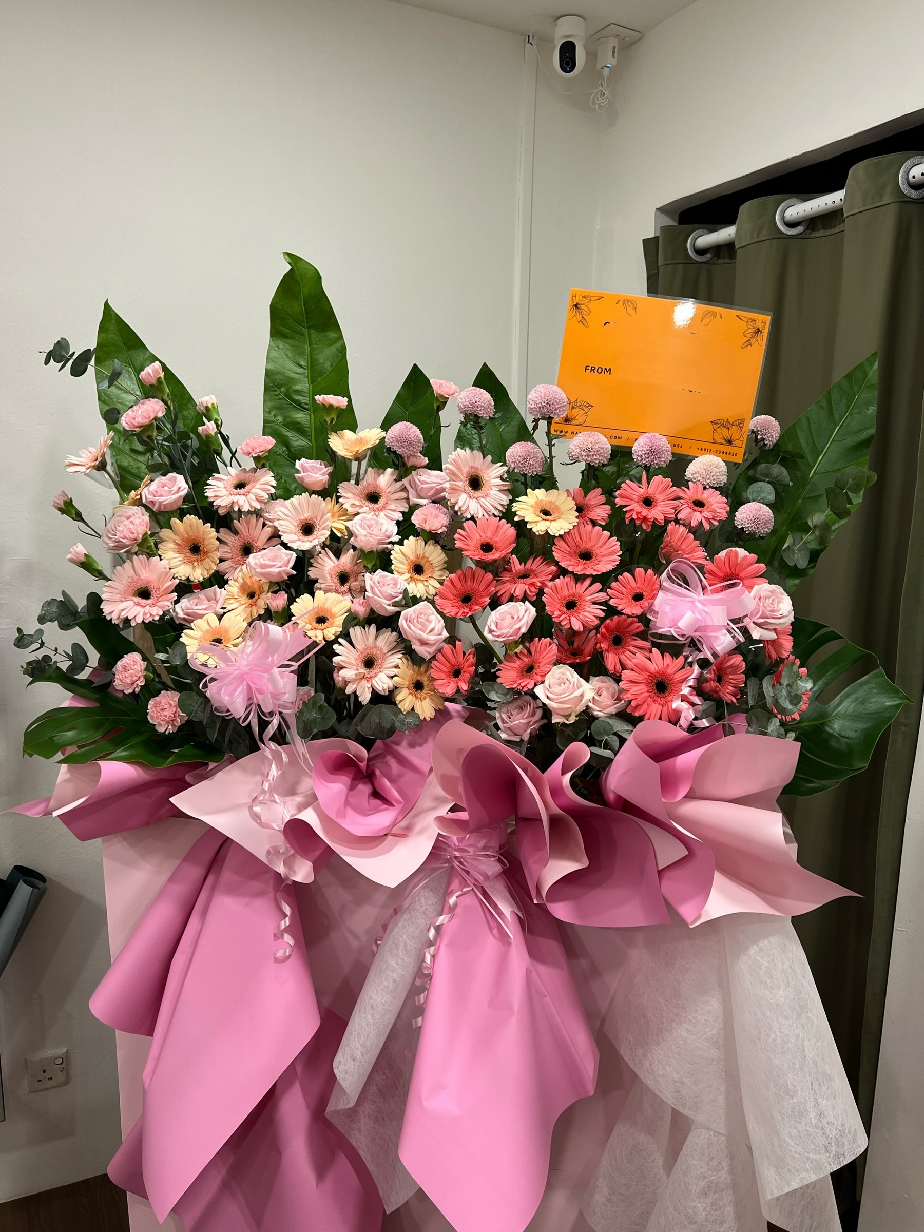 image_002B34B6-7EE3-4E7E-AB50-CAD258031066_1778659976