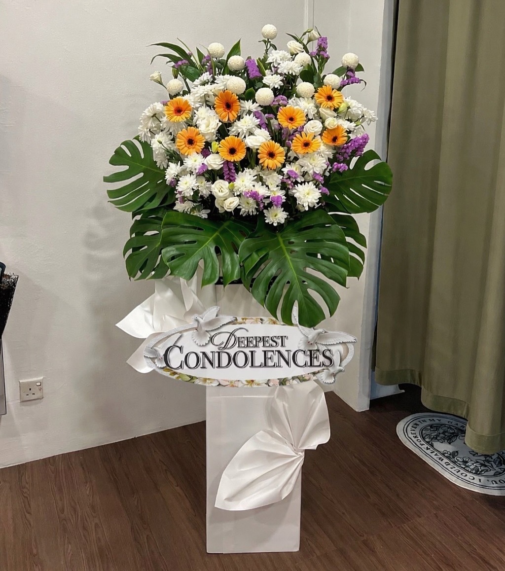 image_228ACD33-C218-4A84-9562-E70226753B19_1769505200