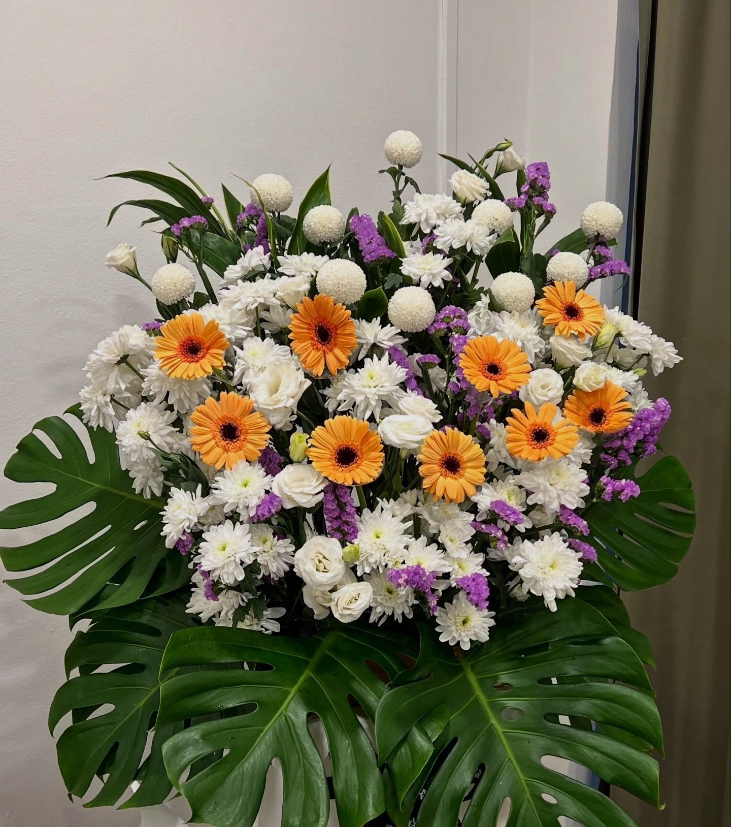 image_F8254A6A-EB47-47FD-8736-C4F7209472DF_1769505200