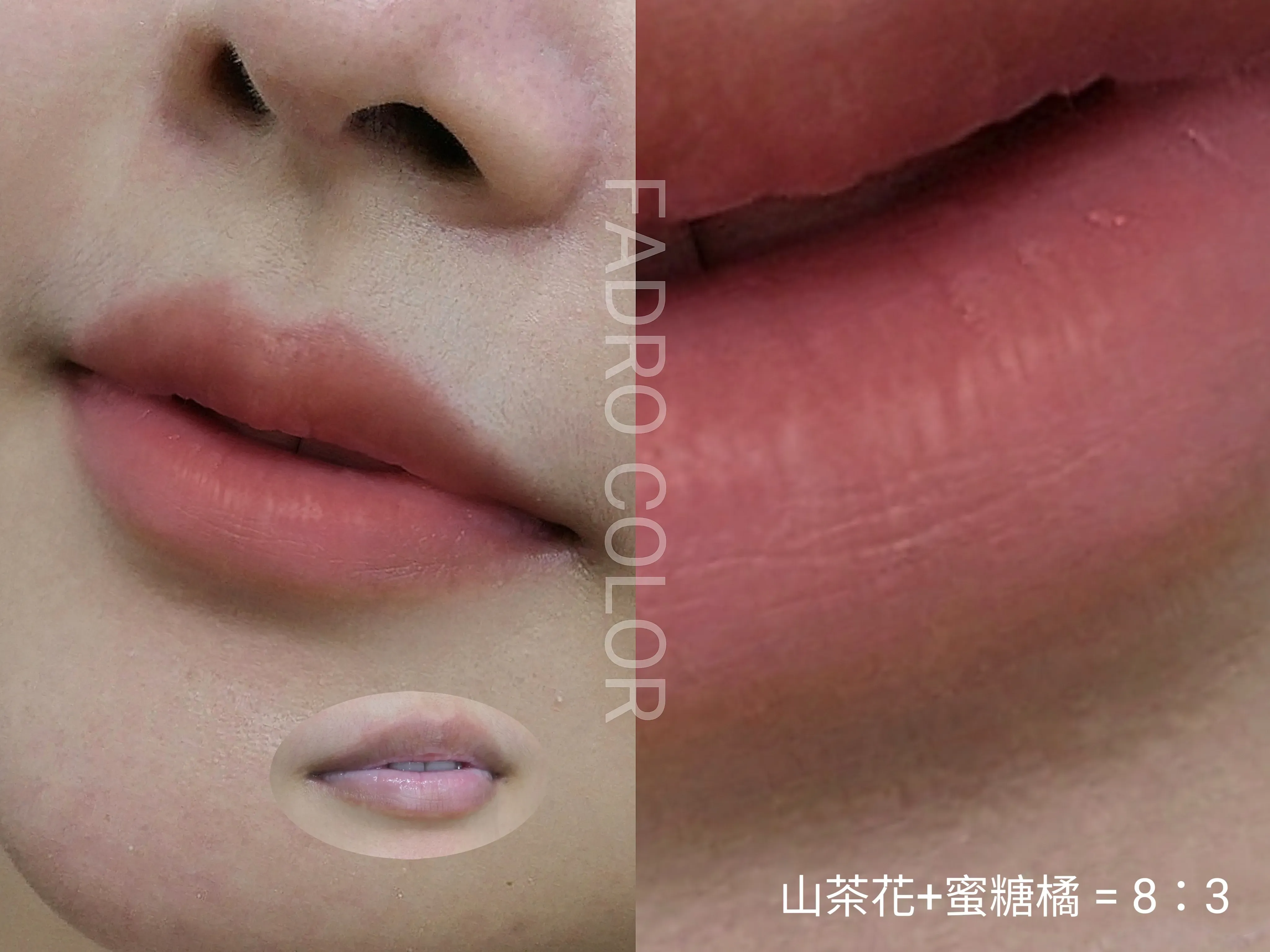 山茶花＋蜜糖橘