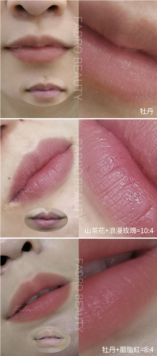 截圖 2025-07-11 下午6.26.26