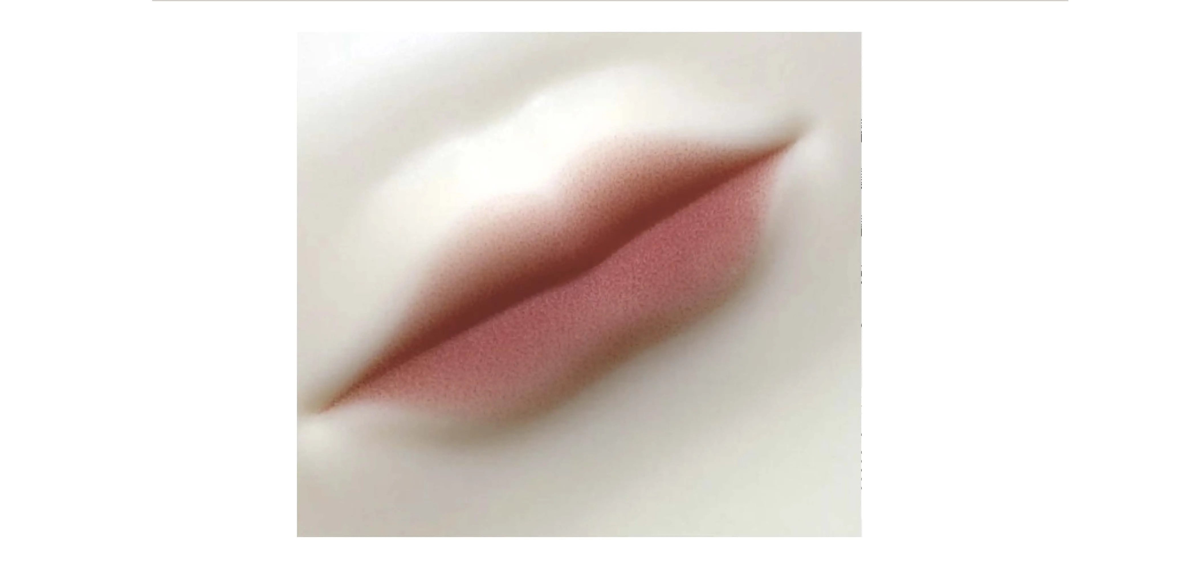 16469729