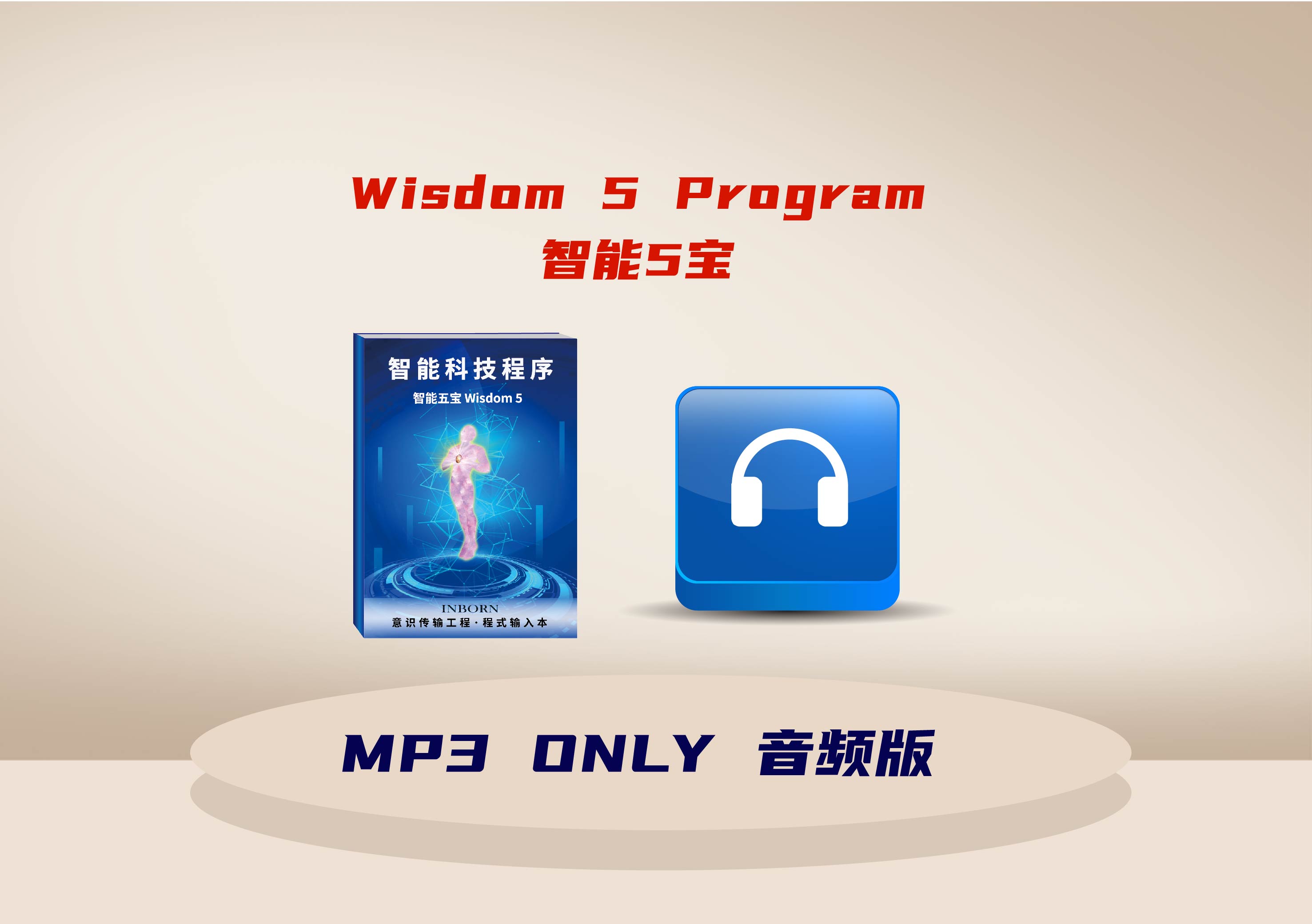 Wisdom5-02