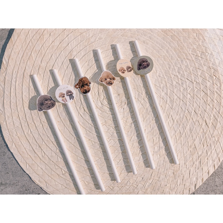 1db1722621c15bf2e9e8a5299c86f4d2