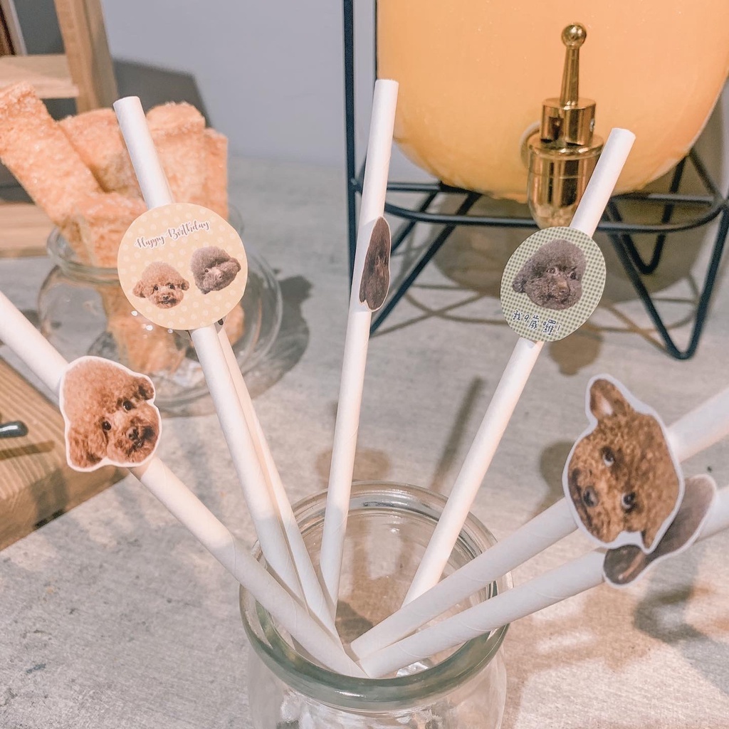 e84eb5daca3f8c3304a519ae75a1e438