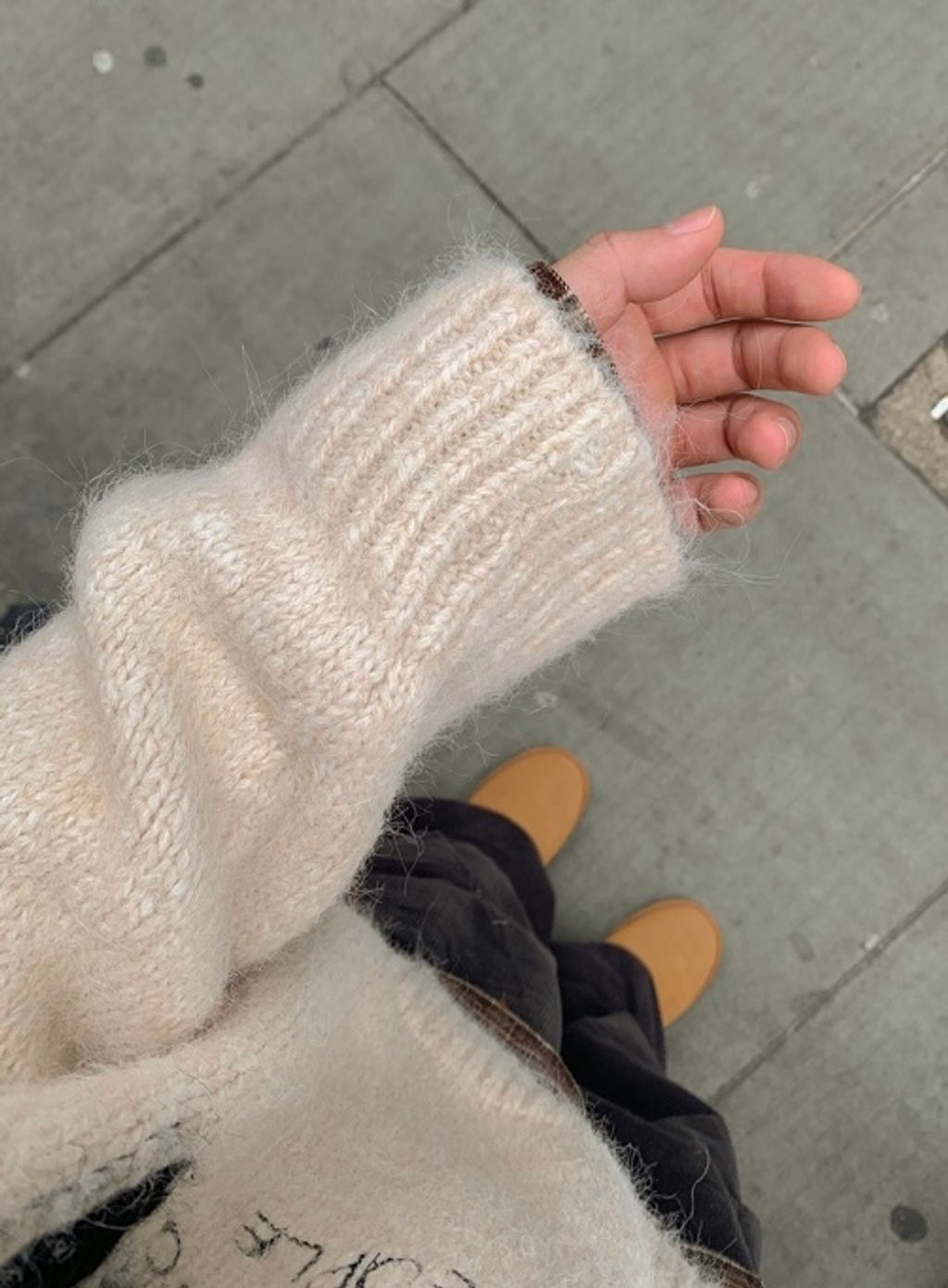 IMG_9756-1736852054248