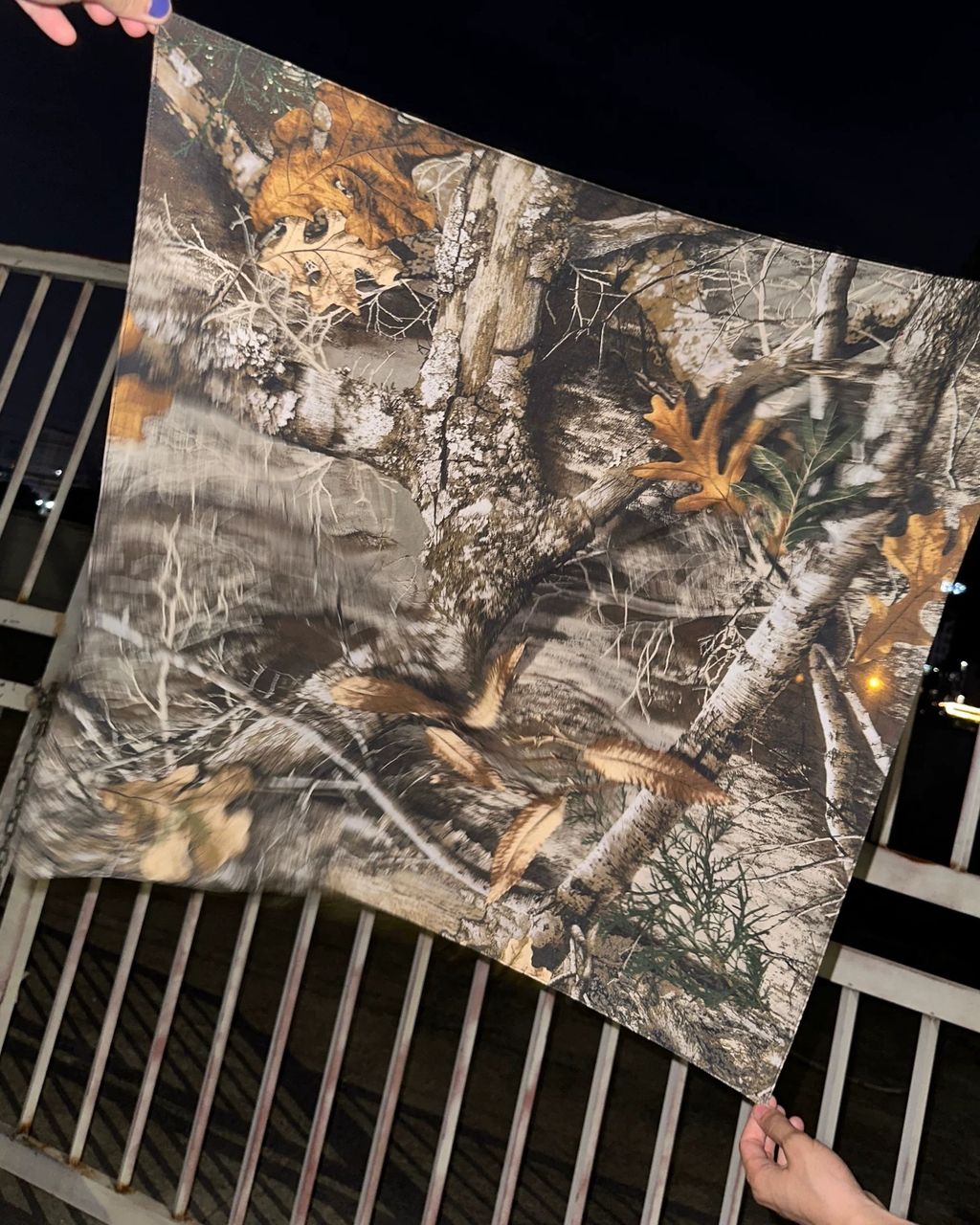 image_675A684E-F2AA-405A-845C-08EAC293DEF4_1754138475