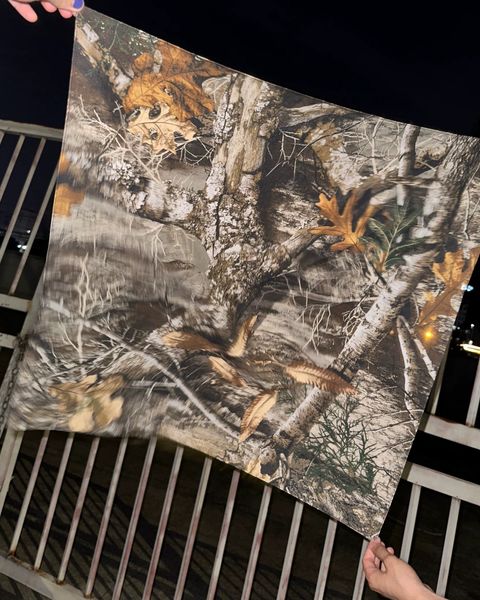 image_675A684E-F2AA-405A-845C-08EAC293DEF4_1754138475